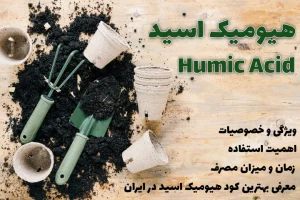 کود هیومیک اسید | humic acid | خرید اینترنتی | خواص هیومیک اسید | بهترین کود هیومیک اسید