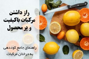 کاشت مرکبات | برنامه کوددهی مرکبات | کودهای مناسب مرکبات | افزایش عملکرد مرکبات | عناصر مورد نیاز درختان مرکبات | برداشت بیشتر مرکبات