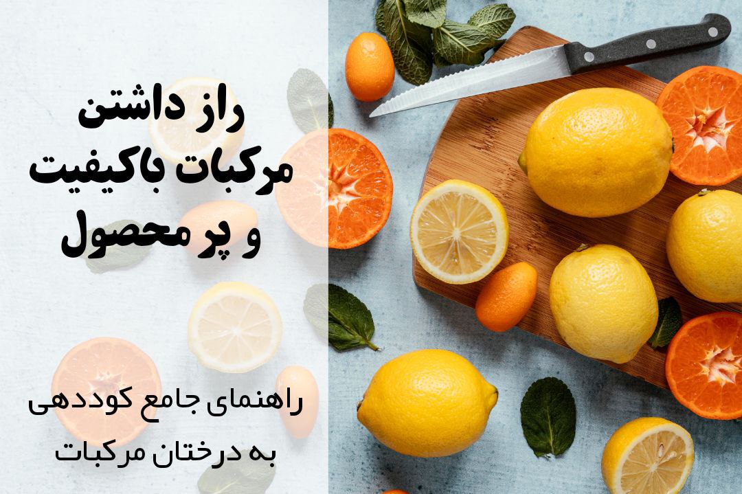 کاشت مرکبات | برنامه کوددهی مرکبات | کودهای مناسب مرکبات | افزایش عملکرد مرکبات | عناصر مورد نیاز درختان مرکبات | برداشت بیشتر مرکبات