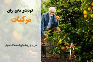 کود مایع مناسب مرکبات | مراحل کاشت مرکبات | افزایش باردهی مرکبات | بهترین کود برای مرکبات | چه زمانی به مرکبات کود بدیم؟