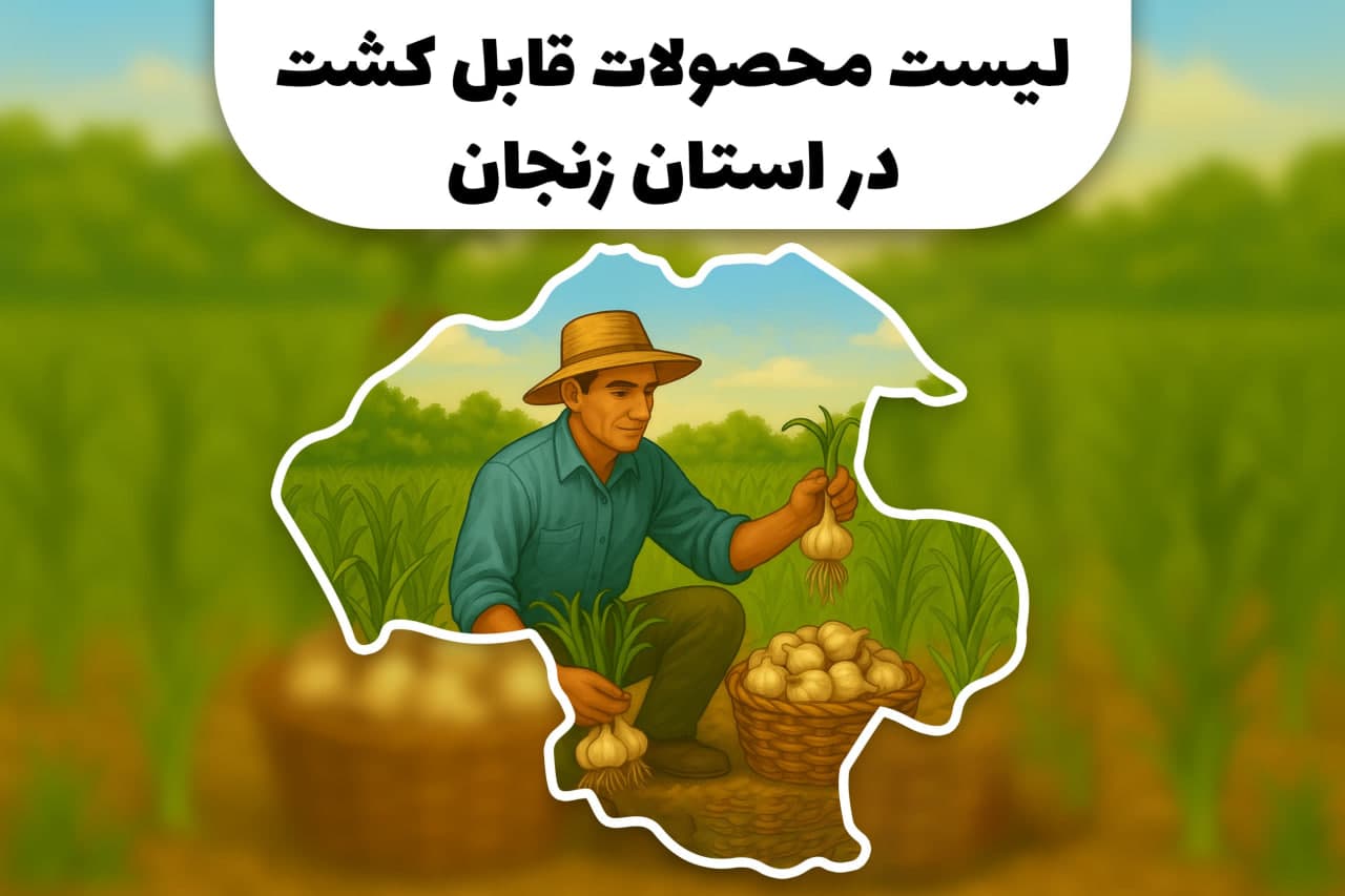 محصولات قابل کشت در استان زنجان | کشاورزی در استان زنجان