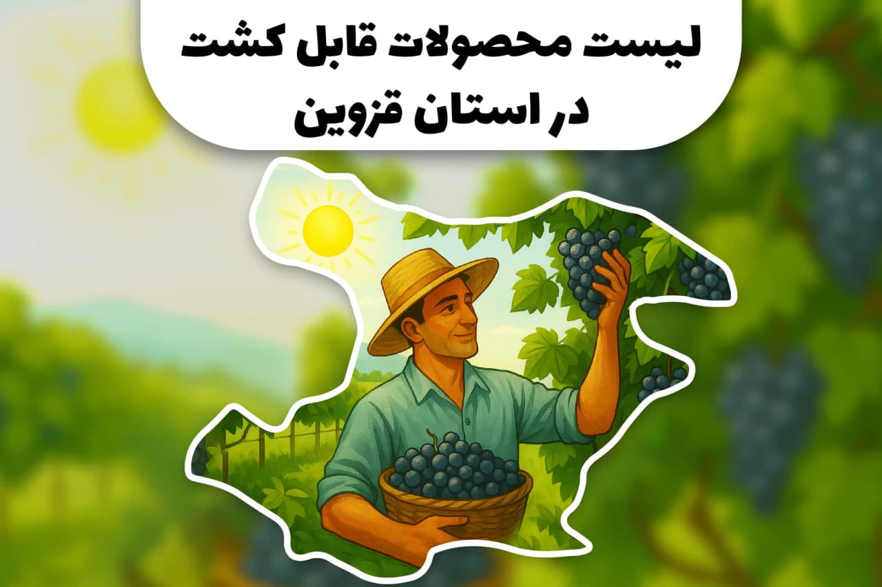 محصولات قابل کشت در استان قزوین | کشاورزی در استان قزوین