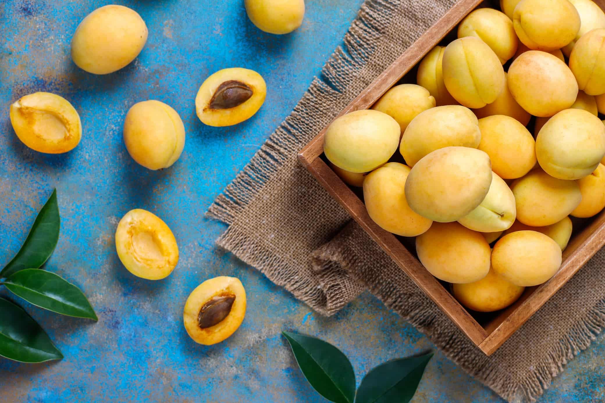 کاشت زردآلو در یزد| محصولات قابل کشت در استان یزد