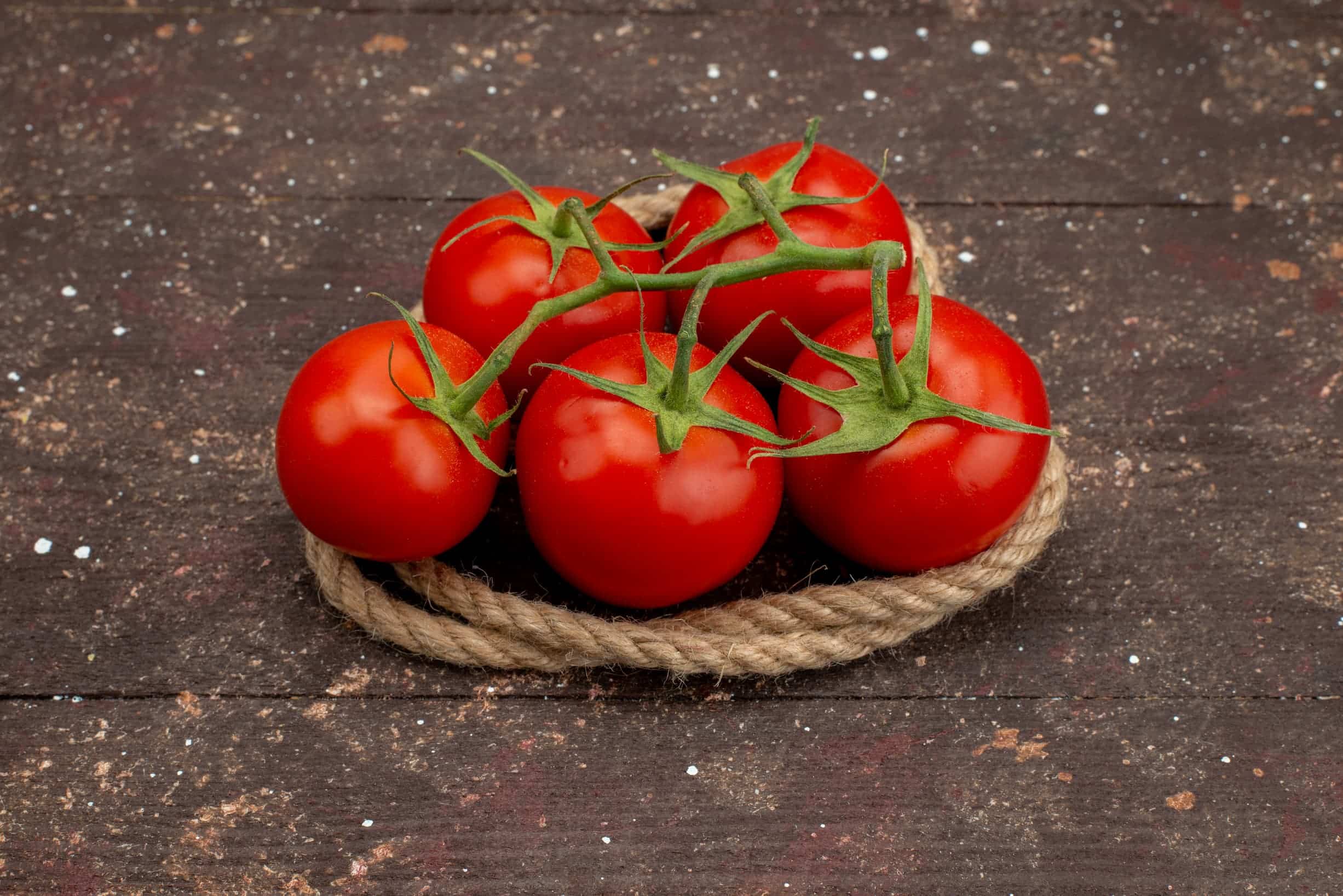 کاشت گوجه فرنگی در فارس | محصولات قابل کشت در استان فارس