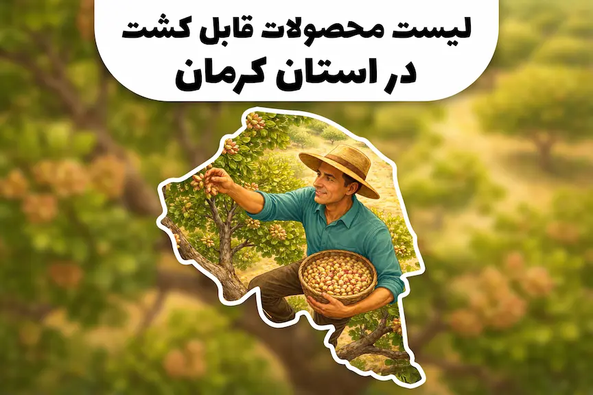 محصولات قابل کشت در استان کرمان | کشاورزی در استان کرمان